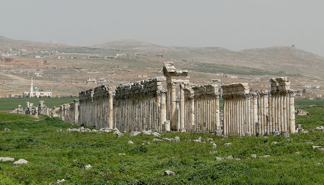 Oldtidsbyen Apamea i Syria. Området ble plyndret i 2012-2013. (Foto: Bernard Gagnon/CC BY-SA 3.0) Oldtidsbyen Apamea i Syria. Området ble plyndret i 2012-2013. (Foto: Bernard Gagnon/CC BY-SA 3.0)