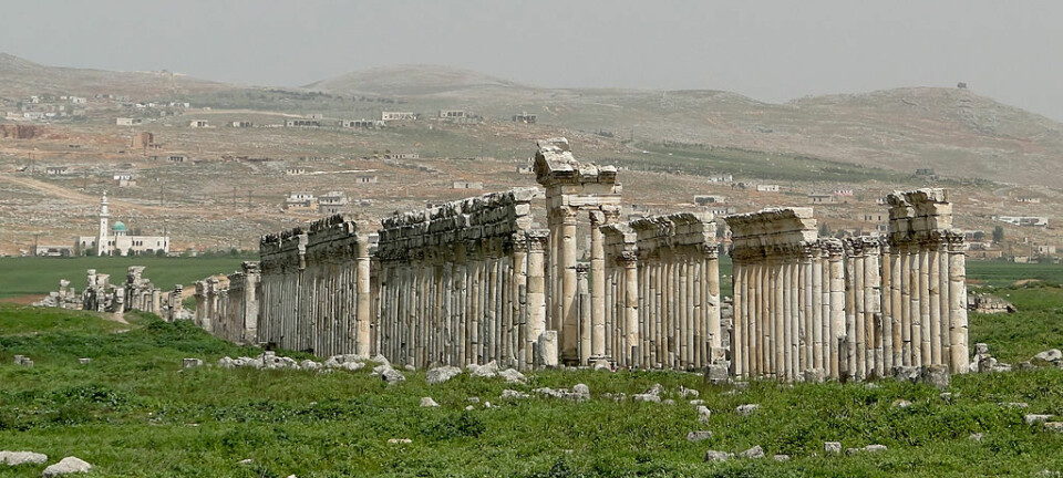 Oldtidsbyen Apamea i Syria. Området ble plyndret i 2012-2013.  (Foto: Bernard Gagnon/CC BY-SA 3.0)