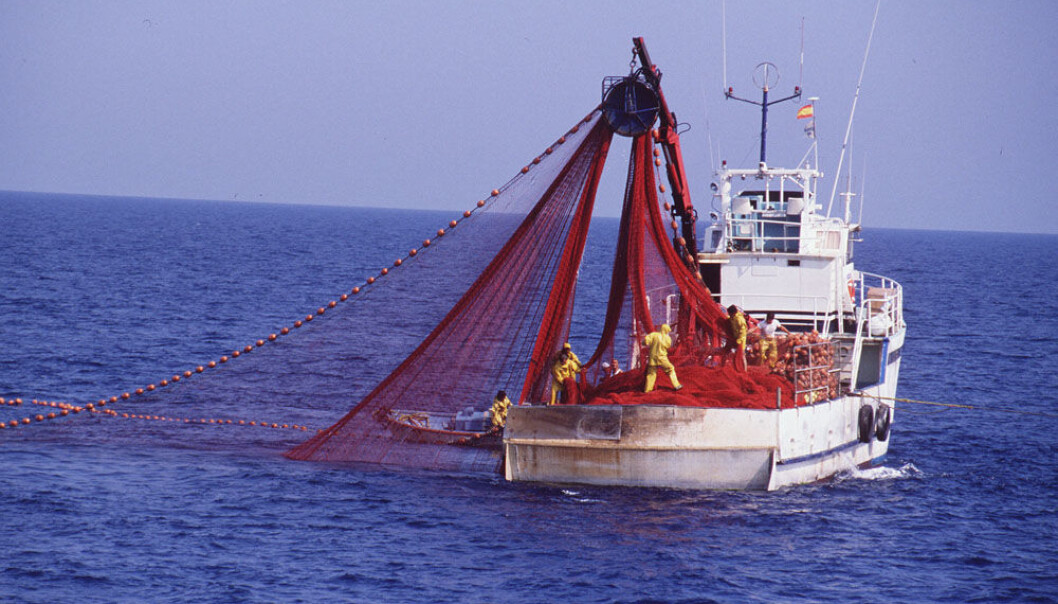 The desire to improve safety at sea must come from the fishermen themselves. (Photo: Colourbox) The desire to improve safety at sea must come from the fishermen themselves. (Photo: Colourbox)