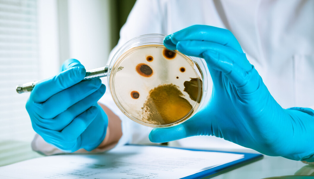Ved å kombinere tre forskjellige antibiotika klarte forskerne å ta livet av de resistente bakteriene. Det ser også ut til at bakteriene ikke kan utvikle resistens mot den nye formen for behandling. (Illustrasjonsfoto: Microstock) Ved å kombinere tre forskjellige antibiotika klarte forskerne å ta livet av de resistente bakteriene. Det ser også ut til at bakteriene ikke kan utvikle resistens mot den nye formen for behandling. (Illustrasjonsfoto: Microstock)