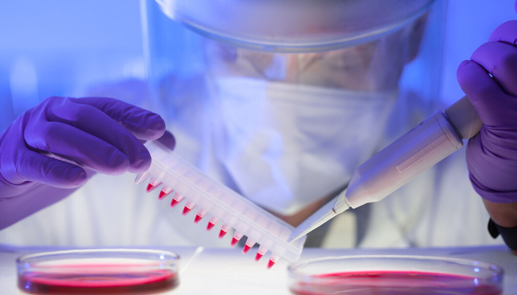 Forskning på kreftbehandling og parasittologi har slått seg sammen i en ny studie som viser at et malariaprotein kanskje kan brukes som et våpen mot kreft. (Illustrasjonsfoto: Microstock) Forskning på kreftbehandling og parasittologi har slått seg sammen i en ny studie som viser at et malariaprotein kanskje kan brukes som et våpen mot kreft. (Illustrasjonsfoto: Microstock)