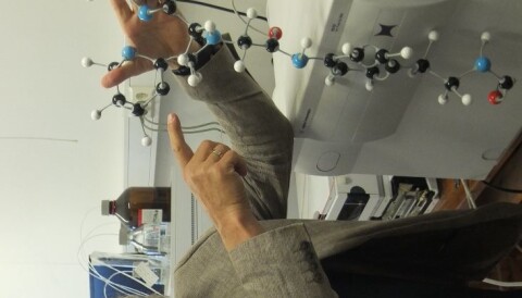 Antibiotika Biter Ikke Pa Barn Med Urinveisinfeksjon