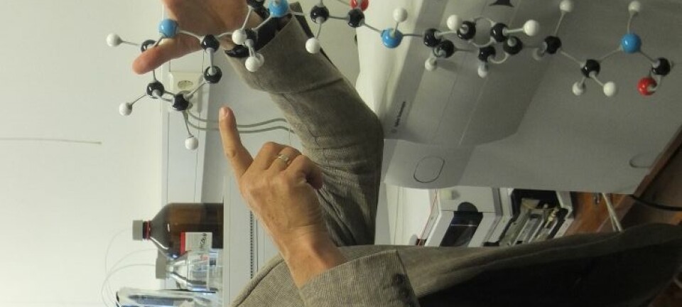 Pål Rongved med kulemodell av molekylet han har stor tru på.  (Foto: Norunn K. Torheim)