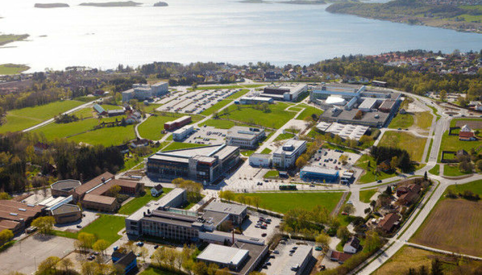 Universitetet i Stavanger har tatt initiativ til å få mer trøkk i nyskapingen som skjer fra forskningsmiljøene i regionen.  (Foto: UiS)