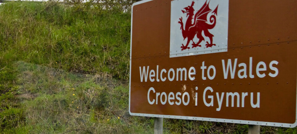 Wales har klart å vekke til live interessen for walisisk, ifølge språkforsker. Kan utrydningstruede samiske språk også få en oppsving? (Foto: Mélanie Girouard/flickr.com, under lisens CC BY-NC 2.0)