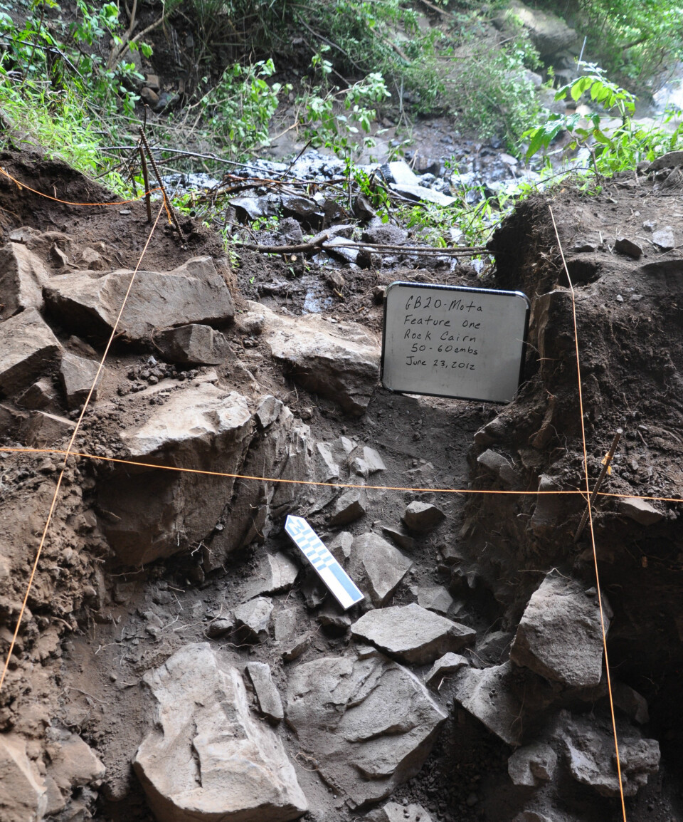 Skjelettet av Mota ble funnet under stein i hulen. (Foto: Kathryn og John Arthur)