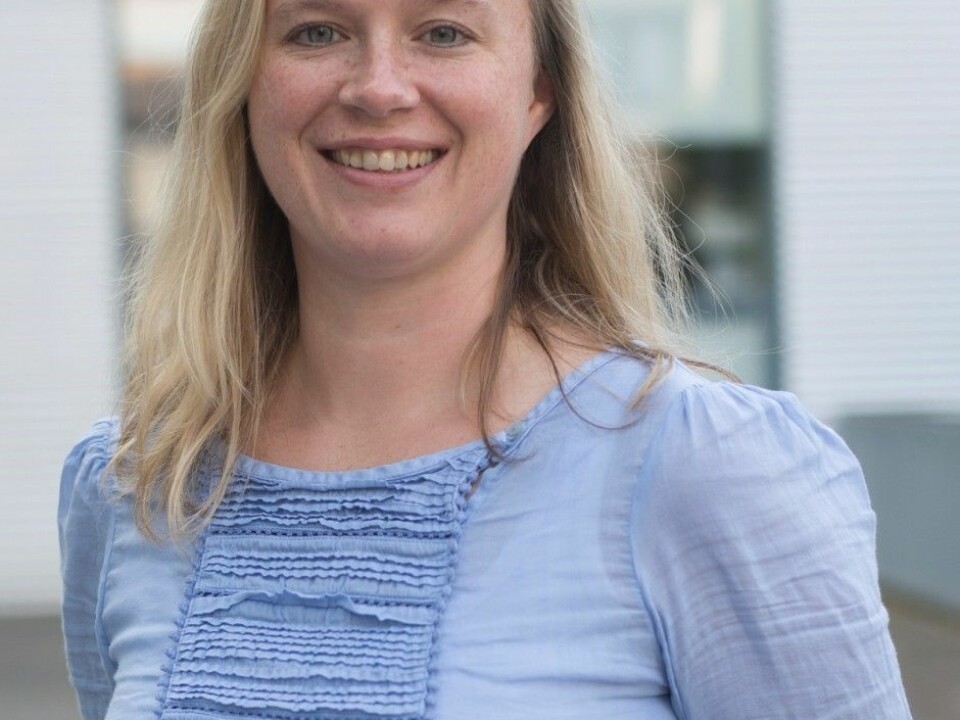 Ruth Østgaard Skotnes is a researcher at the International Research Institute of Stavanger (IRIS) and Centre for Risk Management and Societal Safety (SEROS) at the University of Stavanger. (Photo: UiS)