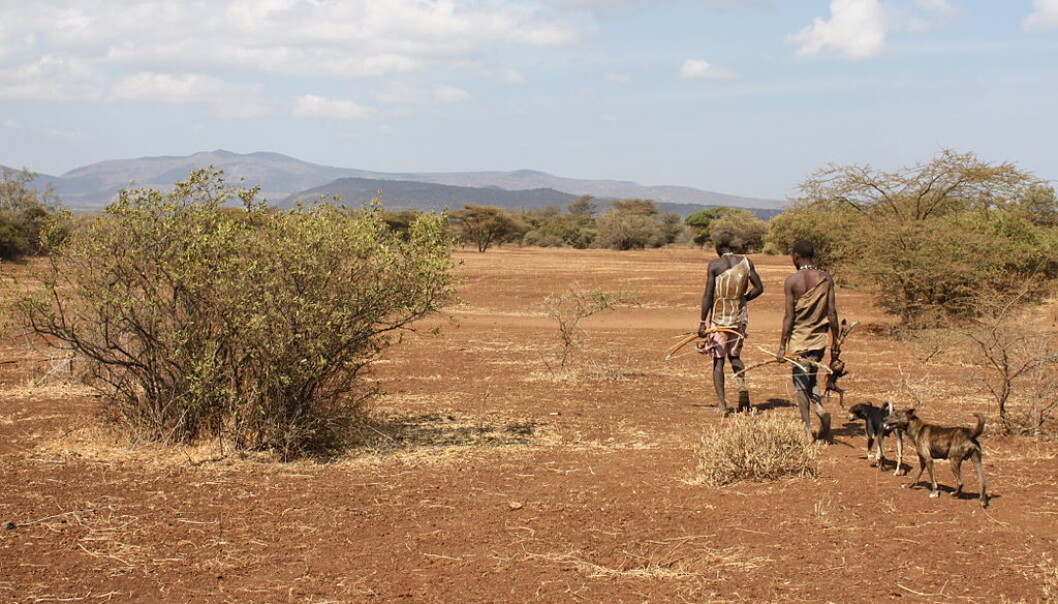 Jegerne er medlemmer av Hadza-folket, en folkegruppe som lever i Tanzania. De har vært med på den nye søvnstudien. (Foto: Andreas Lederer/CC BY 2.0) Jegerne er medlemmer av Hadza-folket, en folkegruppe som lever i Tanzania. De har vært med på den nye søvnstudien. (Foto: Andreas Lederer/CC BY 2.0)