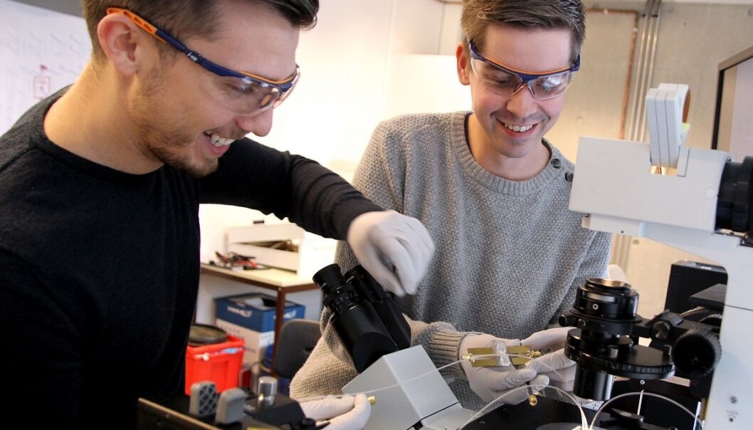 Doktorstipendiatene Armend Gazmeno Håti og Jonas Myren Ribe samarbeider om å finne nye løsninger for diagnostisering og behandling. (Foto: Per Henning, NTNU) Doktorstipendiatene Armend Gazmeno Håti og Jonas Myren Ribe samarbeider om å finne nye løsninger for diagnostisering og behandling. (Foto: Per Henning, NTNU)