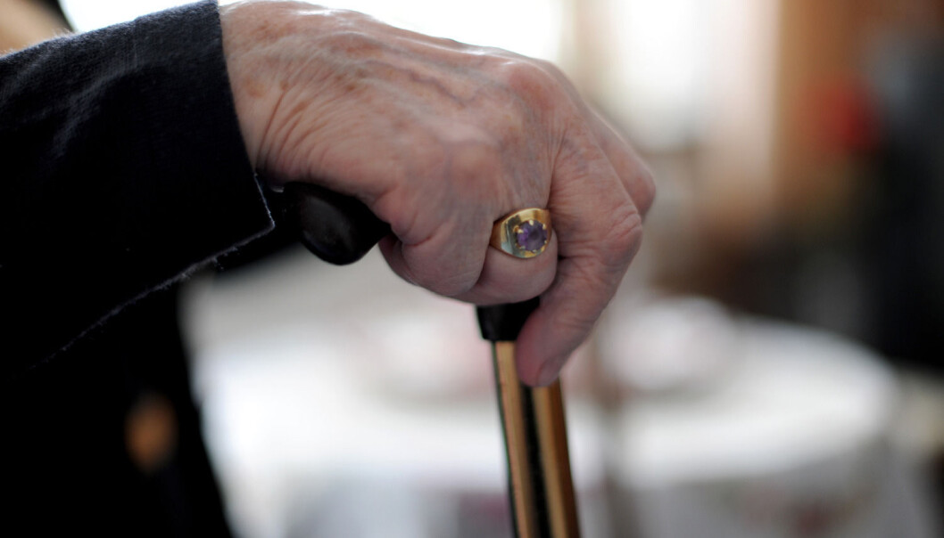 Ny studie viser at 95-åringer med høyere utdanning kan forvente å leve lengre enn jevnaldrende med kun grunnskole. (Illustrasjonsfoto: Frank May, NTB scanpix) Ny studie viser at 95-åringer med høyere utdanning kan forvente å leve lengre enn jevnaldrende med kun grunnskole. (Illustrasjonsfoto: Frank May, NTB scanpix)