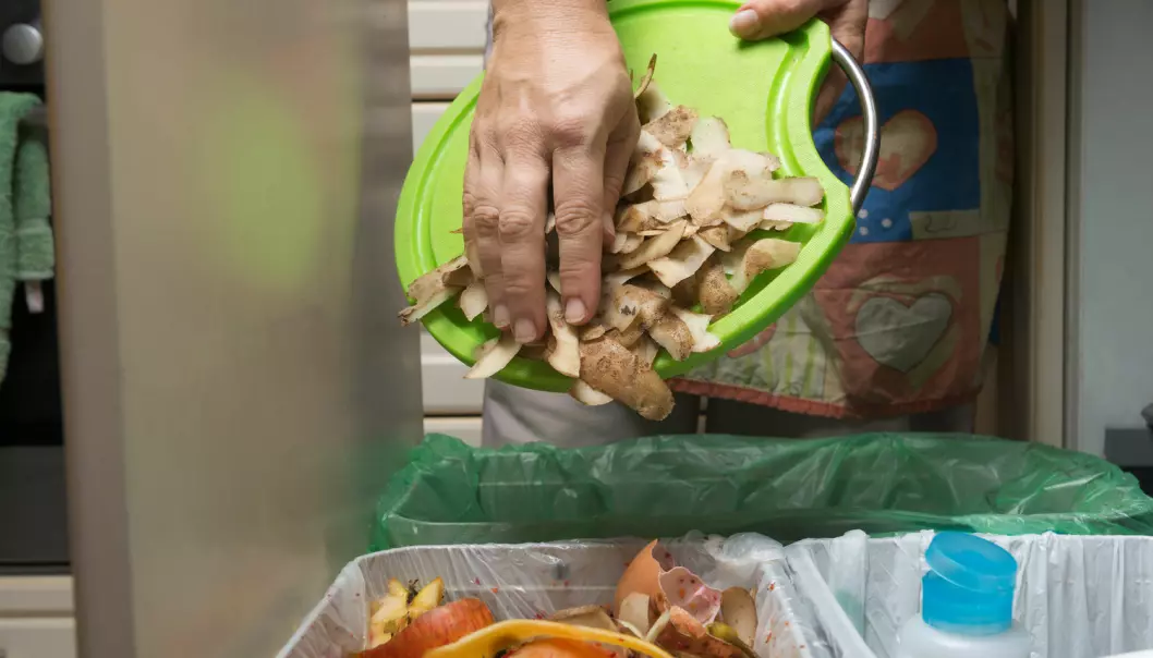 Food waste recycling seems like a good idea, but preventing food waste is much better, researchers have found. (Illustrative photo: Shutterstock)