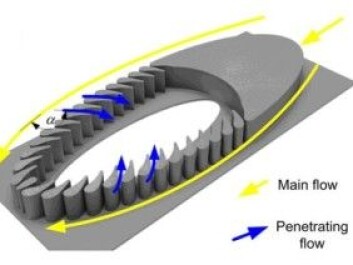 The figure illustrates how the water flows around and through the trilobite. Solid particles are filtered out as water passes through the gaps between the micro-pillars. (Illustration: Sintef) The figure illustrates how the water flows around and through the trilobite. Solid particles are filtered out as water passes through the gaps between the micro-pillars. (Illustration: Sintef)