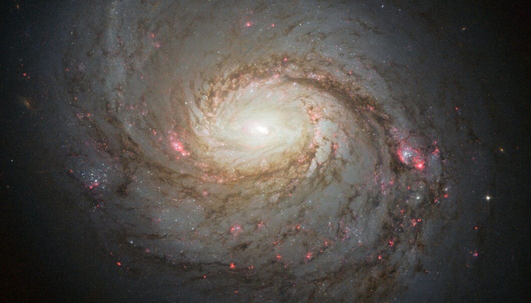 Hvilke mysterier er de største vitenskapen ennå ikke har løst? Vi har bedt fire nobelprismottakere om svaret. (Illustrasjon: NASA, ESA & A. van der Hoeven) Hvilke mysterier er de største vitenskapen ennå ikke har løst? Vi har bedt fire nobelprismottakere om svaret. (Illustrasjon: NASA, ESA & A. van der Hoeven)
