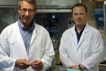 Prosjektleder Geir Fonnum (t.v) med mikrobrikken fra Ion Torrent, og forskningssjef Erlend Ragnhildstveit hos Life Technologies på Lillestrøm. Selskapet forsker på ugelstadkulenes egenskaper for å tilpasse dem til mikrobrikken, som vil gjøre DNA-prøver mye raskere og billigere. (Foto: Foto: Atle Abelsen) Prosjektleder Geir Fonnum (t.v) med mikrobrikken fra Ion Torrent, og forskningssjef Erlend Ragnhildstveit hos Life Technologies på Lillestrøm. Selskapet forsker på ugelstadkulenes egenskaper for å tilpasse dem til mikrobrikken, som vil gjøre DNA-prøver mye raskere og billigere. (Foto: Foto: Atle Abelsen)