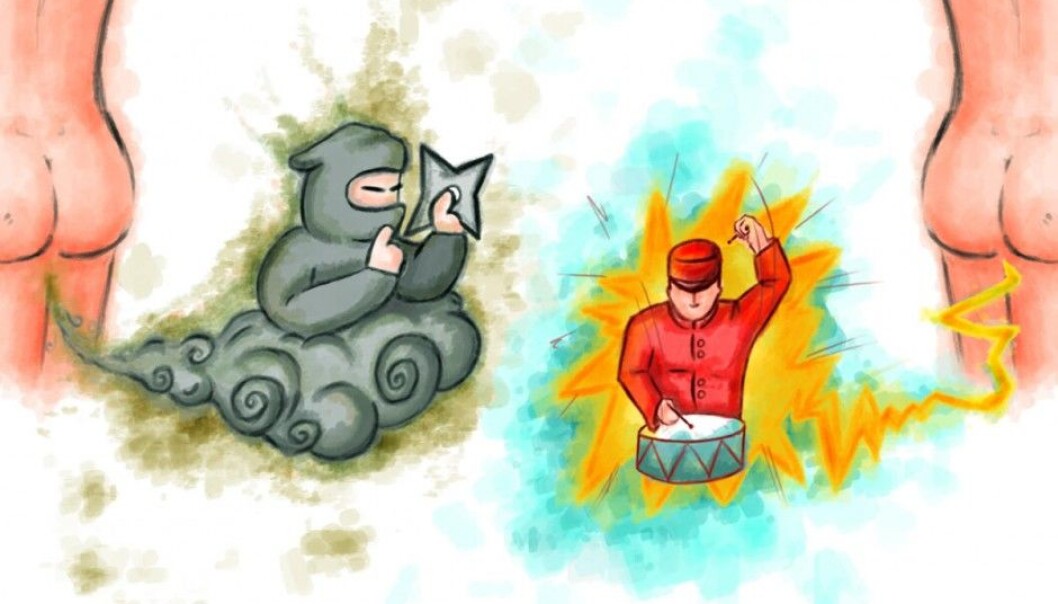 The silent farts often stink badly, while the noisy farts, despite being more explosive, do not smell as bad. (Illustration: Arjun Ahluwalia, UiB) The silent farts often stink badly, while the noisy farts, despite being more explosive, do not smell as bad. (Illustration: Arjun Ahluwalia, UiB)