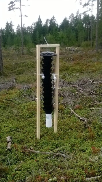 Multi-Funnel-felle. (Foto: Christer Magnusson, NIBIO) Multi-Funnel-felle. (Foto: Christer Magnusson, NIBIO)