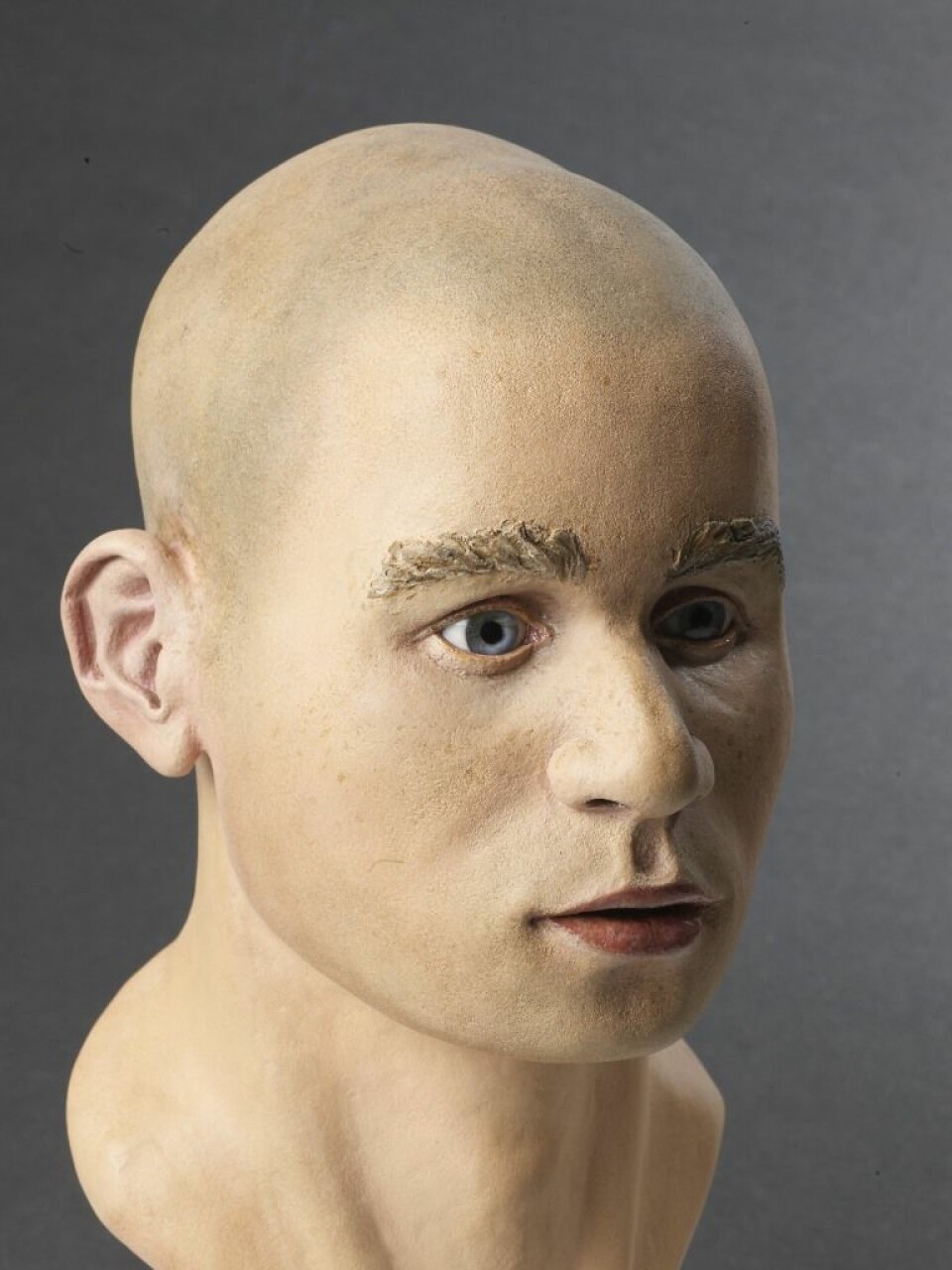 I 2011 ble det laget en rekonstruksjon av Visteguttens hode, slik han kan ha sett ut. Det var mastergradsstudenten Jenny Barber fra universitetet i Dundee som lagde denne modellen. 

 (Foto: Terje Tveit, Arkeologisk museum, Universitetet i Stavanger)