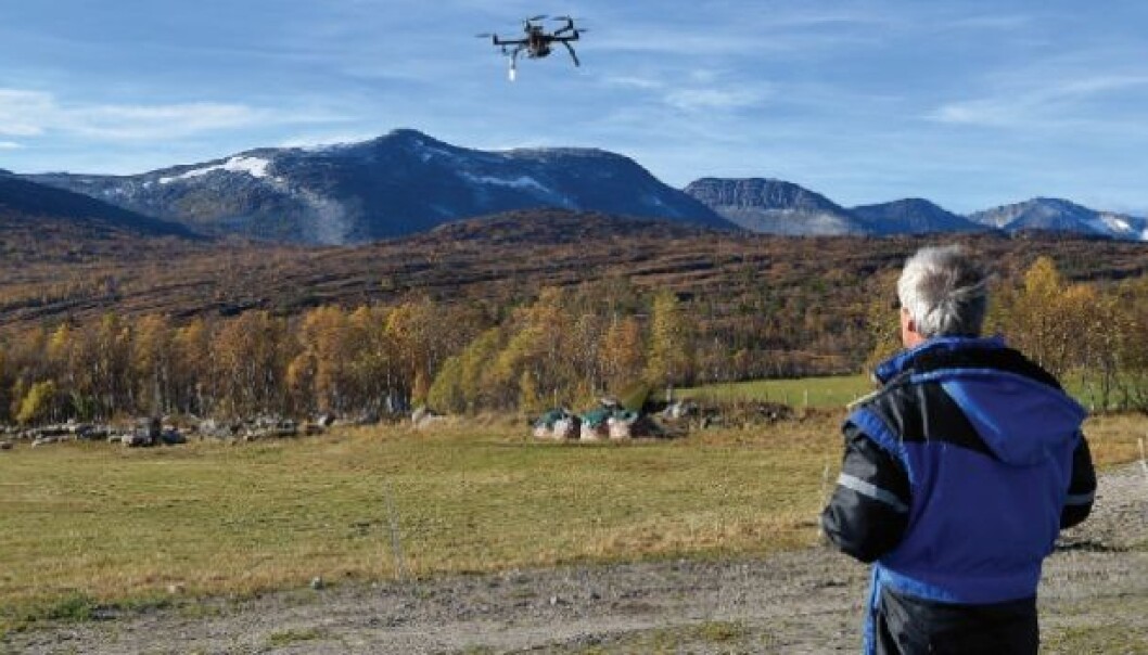 In October, Svein-Olaf Hvasshovd and his colleagues in the control systems group at NTNU completed a successful test using a drone to find lost sheep. (Photo: Morgan Frelsøy/OPP.no) In October, Svein-Olaf Hvasshovd and his colleagues in the control systems group at NTNU completed a successful test using a drone to find lost sheep. (Photo: Morgan Frelsøy/OPP.no)