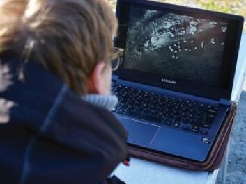 This heat-seeking camera was able to show the sheep on the screen. (Photo: Morgan Frelsøy/OPP.no) This heat-seeking camera was able to show the sheep on the screen. (Photo: Morgan Frelsøy/OPP.no)