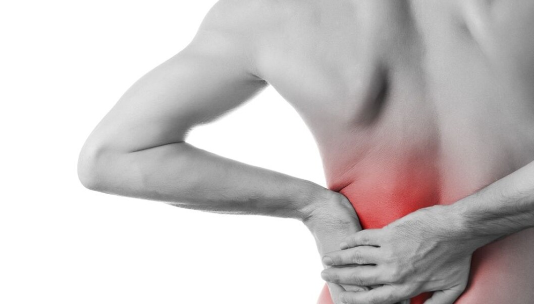 You can do a lot yourself to prevent or reduce back pain. Scientists now hope that the selfBACK project will make it easier to tackle the problem. (Photo: Colourbox.) You can do a lot yourself to prevent or reduce back pain. Scientists now hope that the selfBACK project will make it easier to tackle the problem. (Photo: Colourbox.)