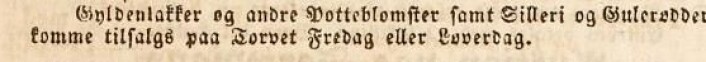 (Foto: (Kilde: Morgenbladet 28/5-1840)) (Foto: (Kilde: Morgenbladet 28/5-1840))