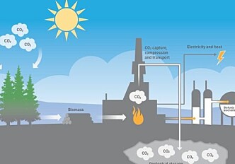 Technology that removes carbon dioxide from the atmosphere