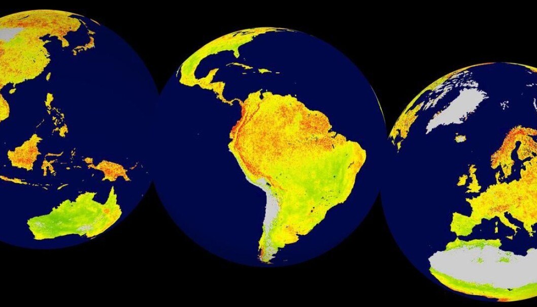Global map of the Vegetation Sensitivity Index (VSI), a new indicator of vegetation sensitivity to climate variability using satellite data. Red colour shows higher ecosystem sensitivity, whereas green indicates lower ecosystem sensitivity. Grey areas are barren land or ice covered. Inland water bodies are mapped in blue. (Illustration: Alistair Seddon.) Global map of the Vegetation Sensitivity Index (VSI), a new indicator of vegetation sensitivity to climate variability using satellite data. Red colour shows higher ecosystem sensitivity, whereas green indicates lower ecosystem sensitivity. Grey areas are barren land or ice covered. Inland water bodies are mapped in blue. (Illustration: Alistair Seddon.)