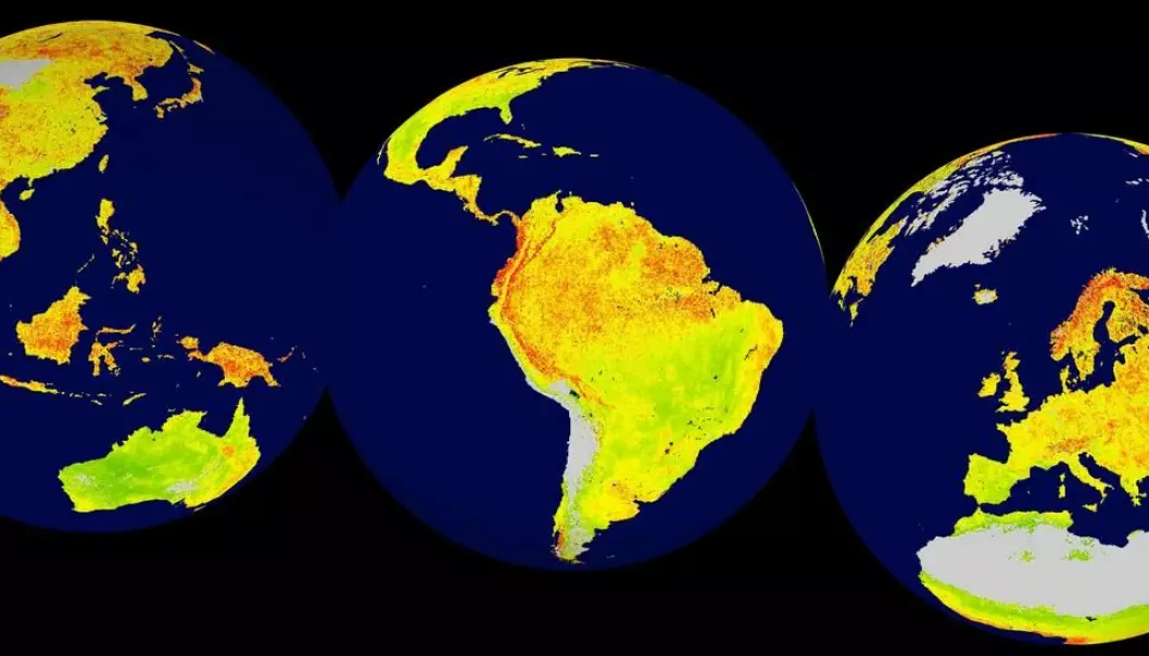 Global map of the Vegetation Sensitivity Index (VSI), a new indicator of vegetation sensitivity to climate variability using satellite data. Red colour shows higher ecosystem sensitivity, whereas green indicates lower ecosystem sensitivity. Grey areas are barren land or ice covered. Inland water bodies are mapped in blue. (Illustration: Alistair Seddon.)
