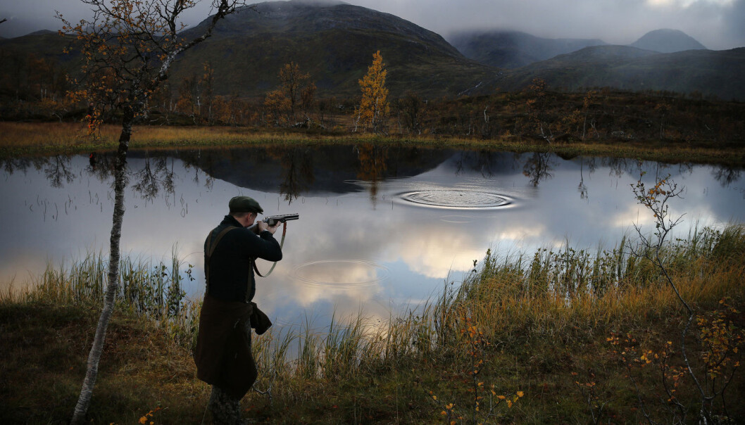 Blyhagl blir fortsatt forbudt på våtmark og skytebaner, men er nå igjen tillatt på jakt andre steder etter totalforbud siden 2005. (Illustrasjonsfoto: Mattis Sandblad/VG) Blyhagl blir fortsatt forbudt på våtmark og skytebaner, men er nå igjen tillatt på jakt andre steder etter totalforbud siden 2005. (Illustrasjonsfoto: Mattis Sandblad/VG)