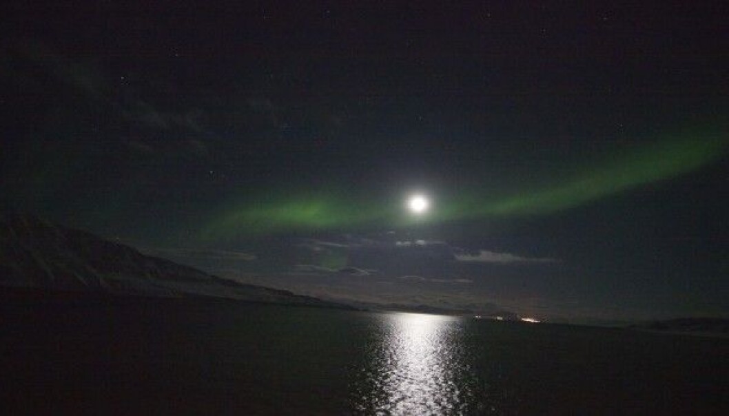 Moonlight and even the northern lights provide enough light to alter the behaviour of creatures that live in the polar oceans. Researchers once thought that the polar night was a time when most organisms were inactive, but now they know the oceans are alive with activity. (Photo: Geir Johnsen, NTNU/UNIS) Moonlight and even the northern lights provide enough light to alter the behaviour of creatures that live in the polar oceans. Researchers once thought that the polar night was a time when most organisms were inactive, but now they know the oceans are alive with activity. (Photo: Geir Johnsen, NTNU/UNIS)