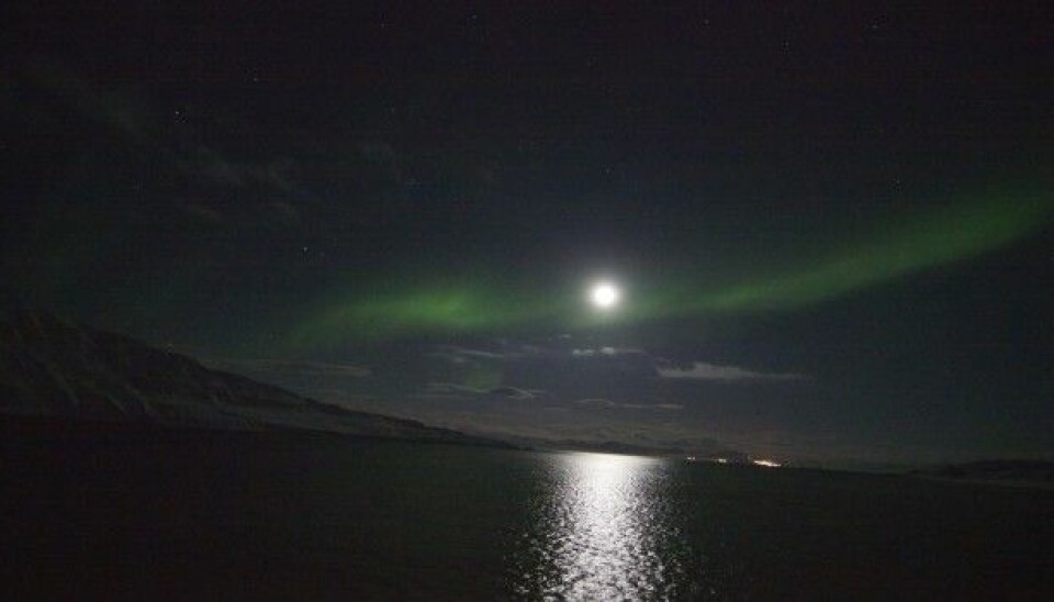 Moonlight and even the northern lights provide enough light to alter the behaviour of creatures that live in the polar oceans. Researchers once thought that the polar night was a time when most organisms were inactive, but now they know the oceans are alive with activity. (Photo: Geir Johnsen, NTNU/UNIS)