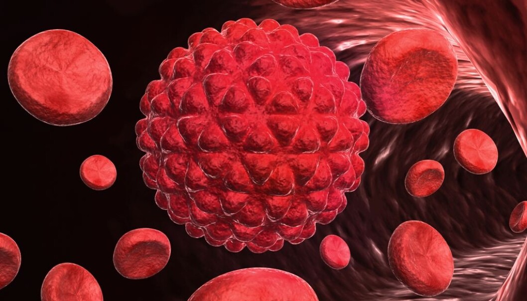 Cancer cells spread through blood vessel. They use a specific protein to penetrate tissue. (Photo: Colourbox) Cancer cells spread through blood vessel. They use a specific protein to penetrate tissue. (Photo: Colourbox)