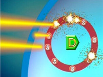 Illumination activates the photosensitiser in the membrane of endosomes in the cancer cell, inside which the drug is encapsulated (D). In this way, the membrane is destroyed and the drug is released. (Illustration: PCI Biotech) Illumination activates the photosensitiser in the membrane of endosomes in the cancer cell, inside which the drug is encapsulated (D). In this way, the membrane is destroyed and the drug is released. (Illustration: PCI Biotech)