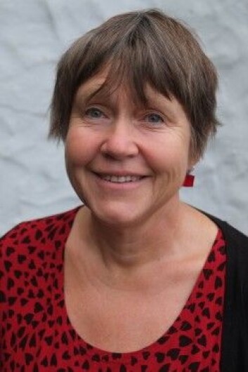 Professor i sosiologi, Liv Johanne Syltevik, har forsket på forholdet mellom trygd og alenemødre i en årrekke. (Foto: UiB) Professor i sosiologi, Liv Johanne Syltevik, har forsket på forholdet mellom trygd og alenemødre i en årrekke. (Foto: UiB)