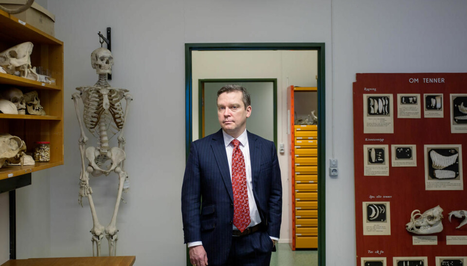 tian Suppersberger Hamre can tell what persons of the middle ages ate, by studying skeletons. (Photo: Eivind Senneset/Copyright: UiB)
