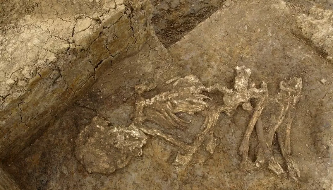 Britiske bronsealder-mumier