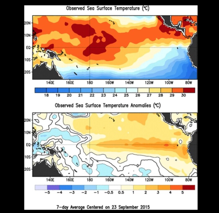 Temperaturen i havoverflaten (øverst) og avviket fra normalen (nederst). (Bilde: NOAA) Temperaturen i havoverflaten (øverst) og avviket fra normalen (nederst). (Bilde: NOAA)