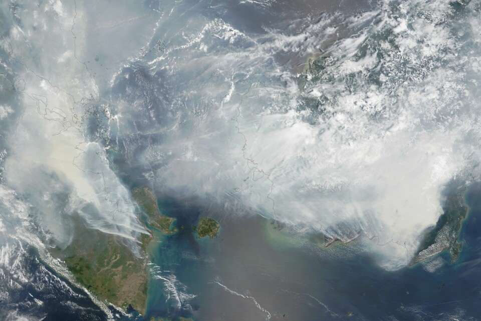 Bildet er tatt 24. september, og er fra NASAs Terra-sattelitt. Det viser branner på Sumatra (til venstre) og Borneo (til høyre). De røde flekkene viser hvor det er varmest. (Foto: NASA Earth Observatory)