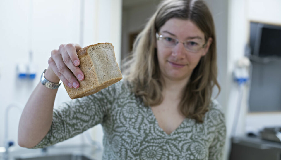 Researcher Anne Rieder has gone down to a molecular level to find the healthiest recipe for bread. (photo: Jon-Are Berg-Jacobsen/Nofima.)