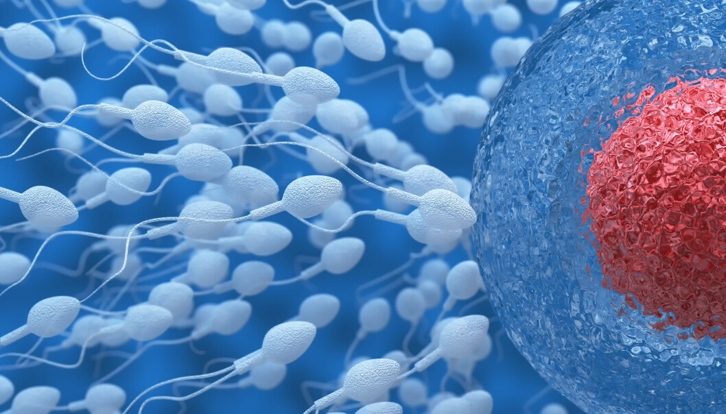 Forskerne sammenlignet sædprøver fra 314 unge menn mot mengden ftalater i urinprøvene. (Foto: Microstock) Forskerne sammenlignet sædprøver fra 314 unge menn mot mengden ftalater i urinprøvene. (Foto: Microstock)