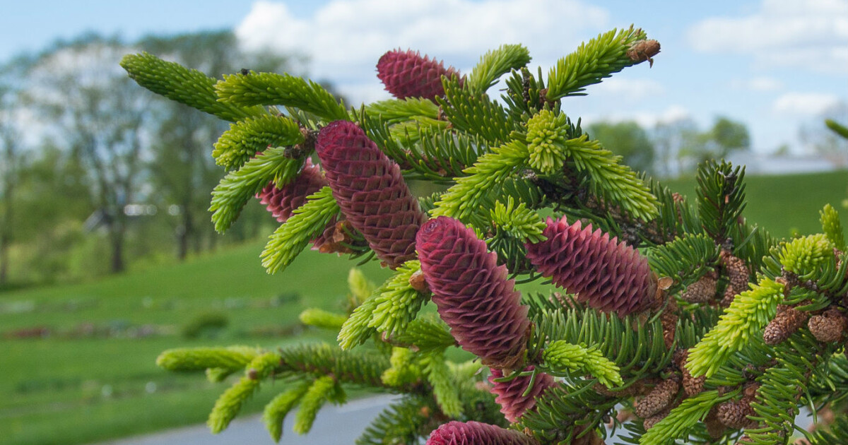 The Survival Of Species Suddenly Looks Better The Survival Of Species Suddenly Looks Better