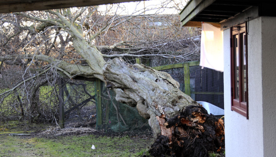 Will your house survive the next storm? (Photo: Colourbox) Will your house survive the next storm? (Photo: Colourbox)