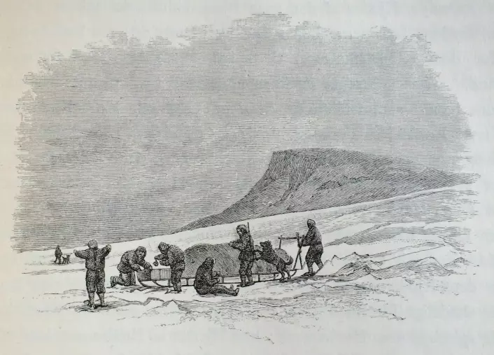 "Fordeling af Bjørnekjød før Maaltidet". Under den andre sledereisen på Frans Josefs land. Payer 1877, s. 285. (Foto: (Tegning: Julius Payer))