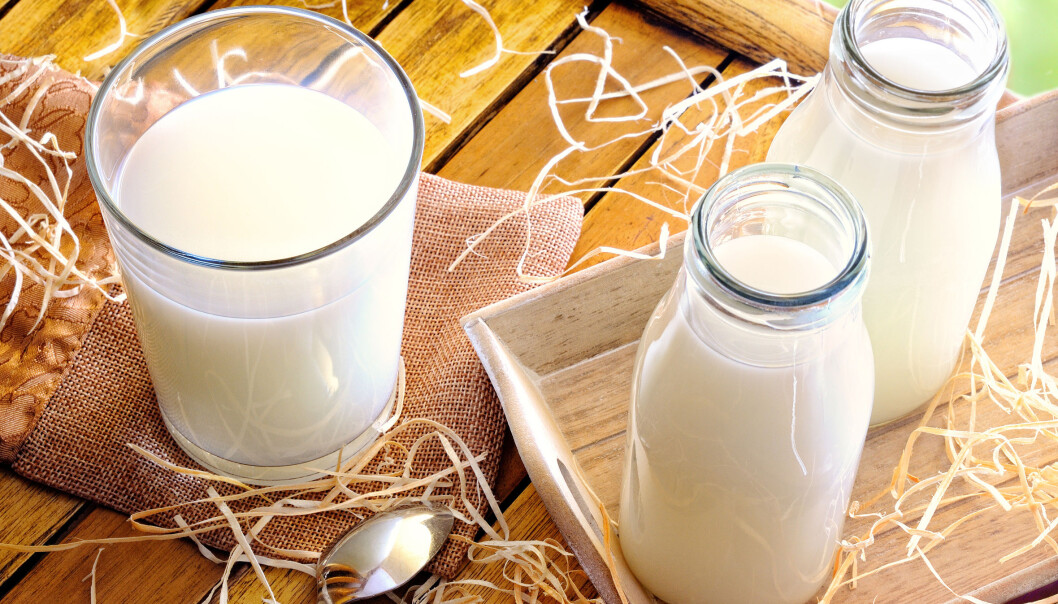 Er melk best rett fra kua, eller etter at den er pasteurisert? (Illustrasjonsfoto: Microstock) Er melk best rett fra kua, eller etter at den er pasteurisert? (Illustrasjonsfoto: Microstock)