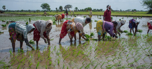 Project aims to help Indian farmers cope with extreme weather