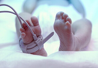 Premature babies may grow up to have weaker bones
