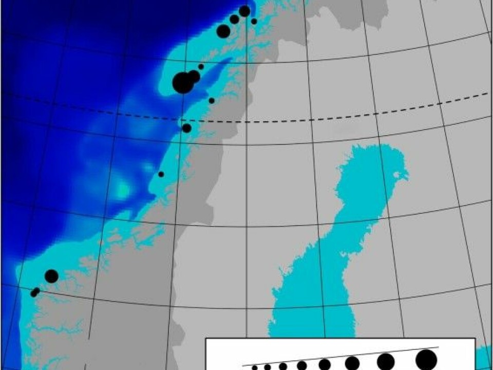 Ninety per cent of nesting seabirds in Norway are found above the Arctic Circle. One reason may be the stable food supply from spawning cod in the Lofoten Islands. The dots show breeding pair population sizes, with the largest dot equivalent to one million breeding pairs. The turquoise colour shows the extent of the Norwegian continental shelf. (Illustration: Nature Communications article)