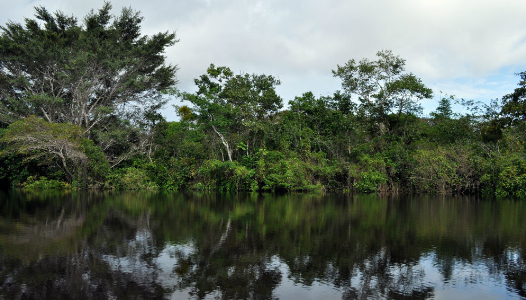 Deforestation amounts to 130.000 km2 every year. This is equal to 60.000 soccer fields each day, and takes place mainly in tropical forests in the Amazon, Central Africa, and Southeast Asia. The picture shows the Orinoco river in Colombia. (Photo: Fredy Ochoa, NIBIO.) Deforestation amounts to 130.000 km2 every year. This is equal to 60.000 soccer fields each day, and takes place mainly in tropical forests in the Amazon, Central Africa, and Southeast Asia. The picture shows the Orinoco river in Colombia. (Photo: Fredy Ochoa, NIBIO.)