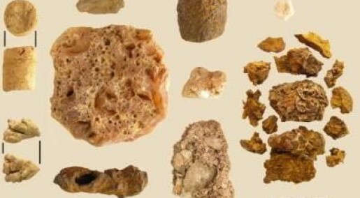 4000 år gamle sjamansteiner funnet