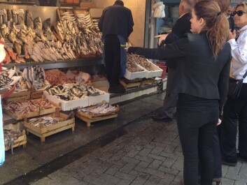 Gülin Kan from Innovasjon Norge og scientist Ingrid Kvalvik from Nofima inspecting a fishmonger in Turkey. (Photo: Gøril Voldnes/Nofima) Gülin Kan from Innovasjon Norge og scientist Ingrid Kvalvik from Nofima inspecting a fishmonger in Turkey. (Photo: Gøril Voldnes/Nofima)